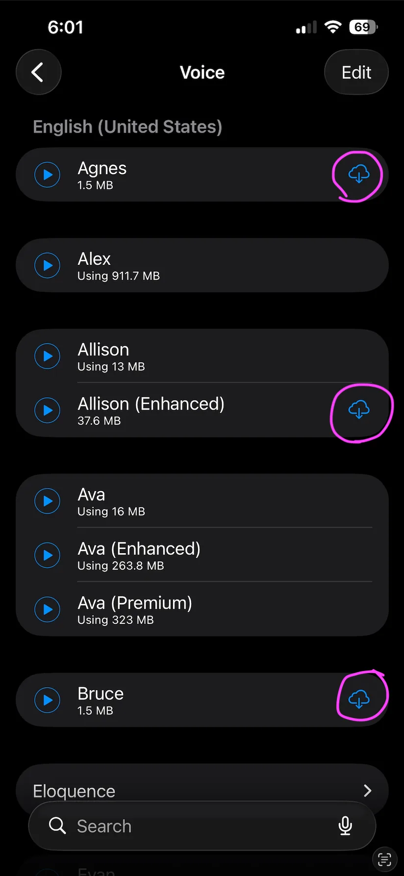 A voice row in the iOS voice list with a download button to its right.