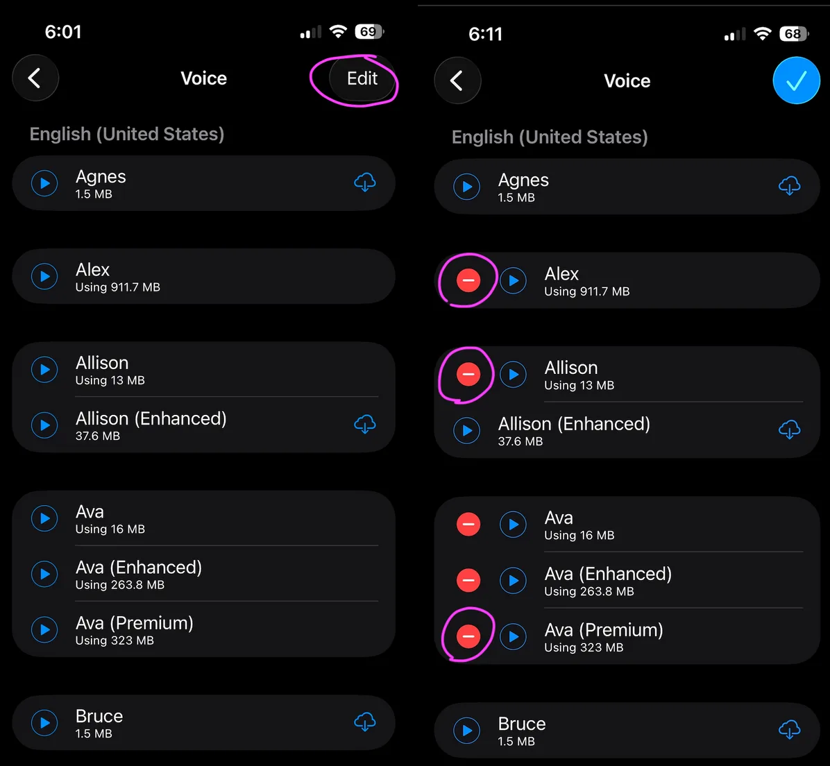 The voice list in Edit mode, showing a red delete button beside an installed voice.